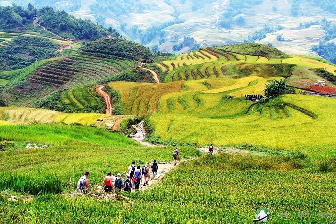 Sapa Trekking Tour (2D1N): Y Linh Ho - Lao Chai - Ta Van - Giang Ta Chai - Su Pan