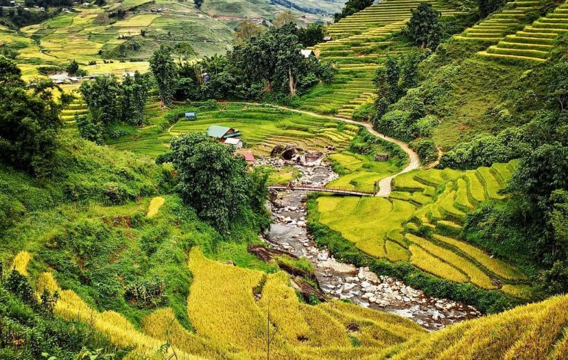 Sapa Trekking Half-day Adventure: Exploring Hoang Lien National Park: Cat Cat to Y Linh Ho