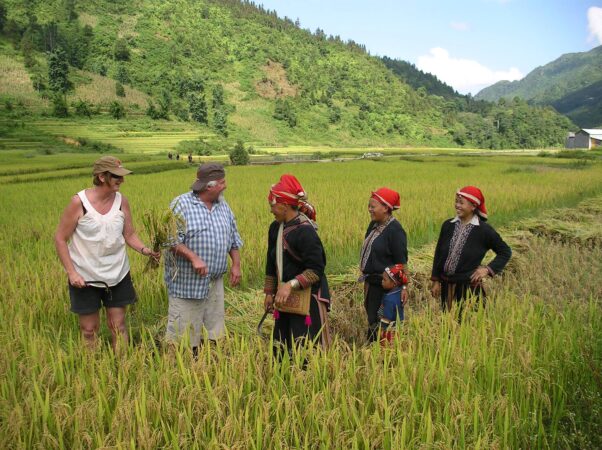 Sapa trekking tour