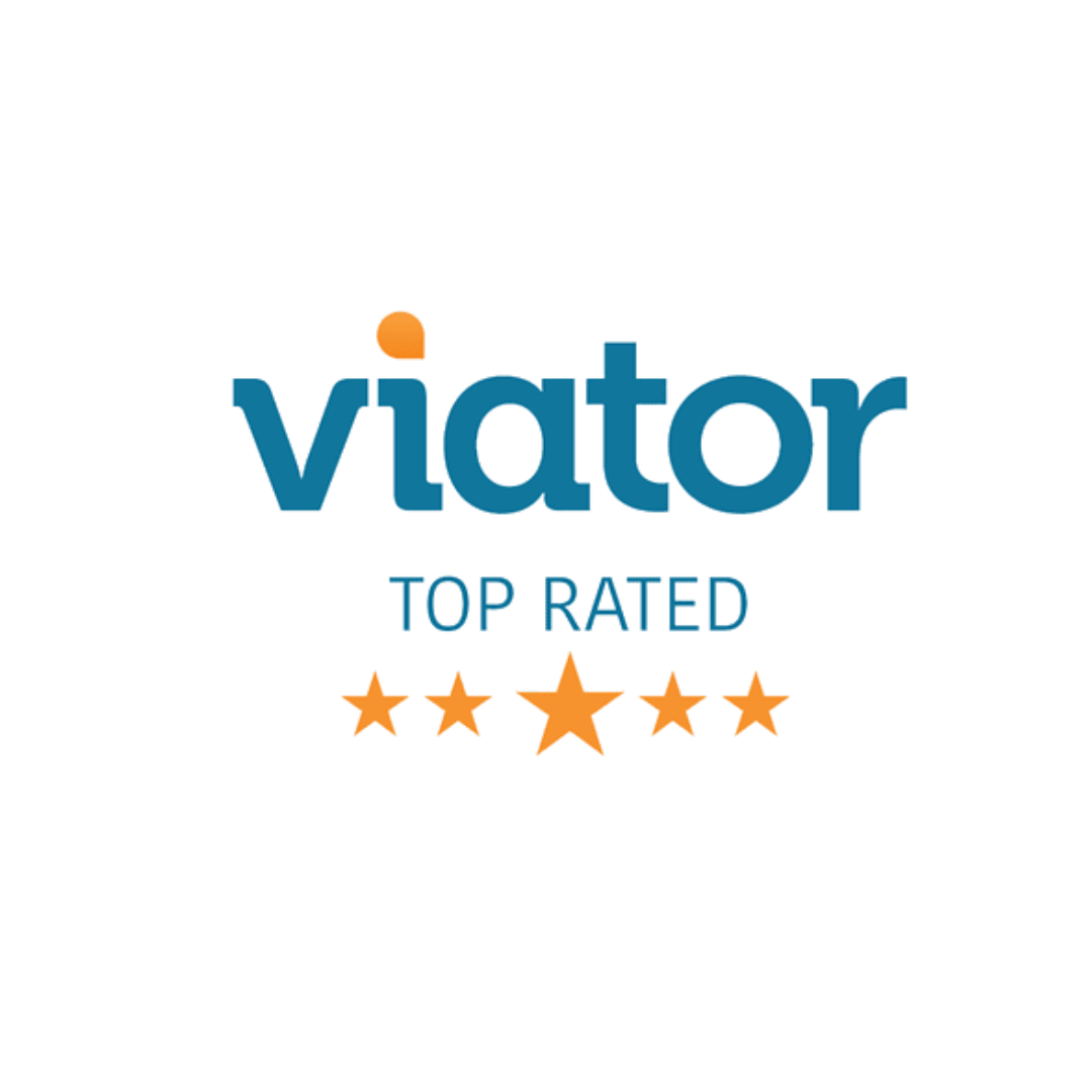 Viator - square logo