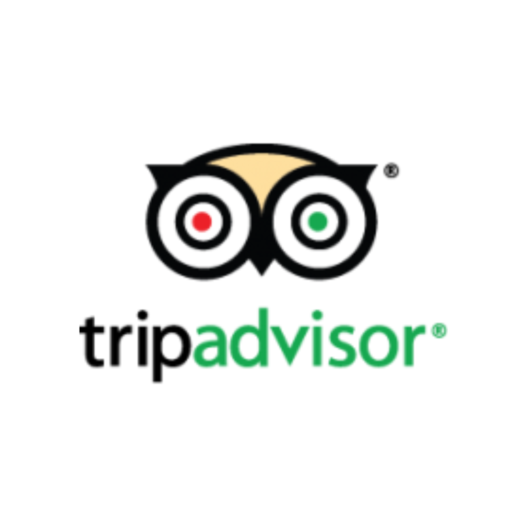 tripadvisor logo 1