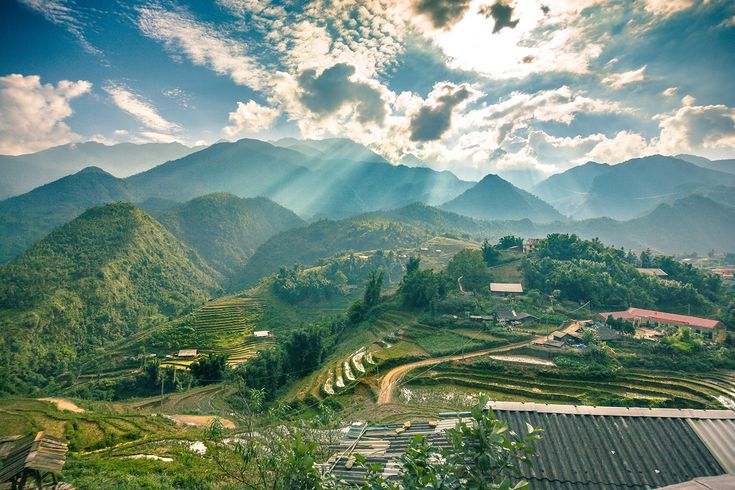 Sapa