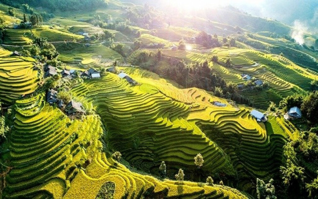 A stunning aerial view of the rice terraces in Sapa.