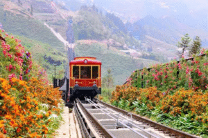 Northern Vietnam Tour: Hanoi & Sapa 3D3N
