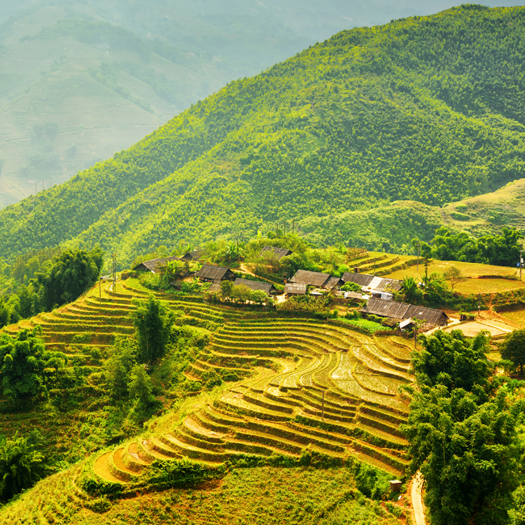 Lao cai - Sapa