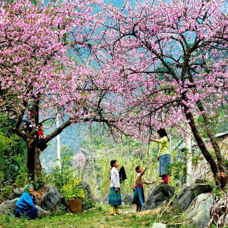 Mai Chau - Moc Chau - Pu Luong